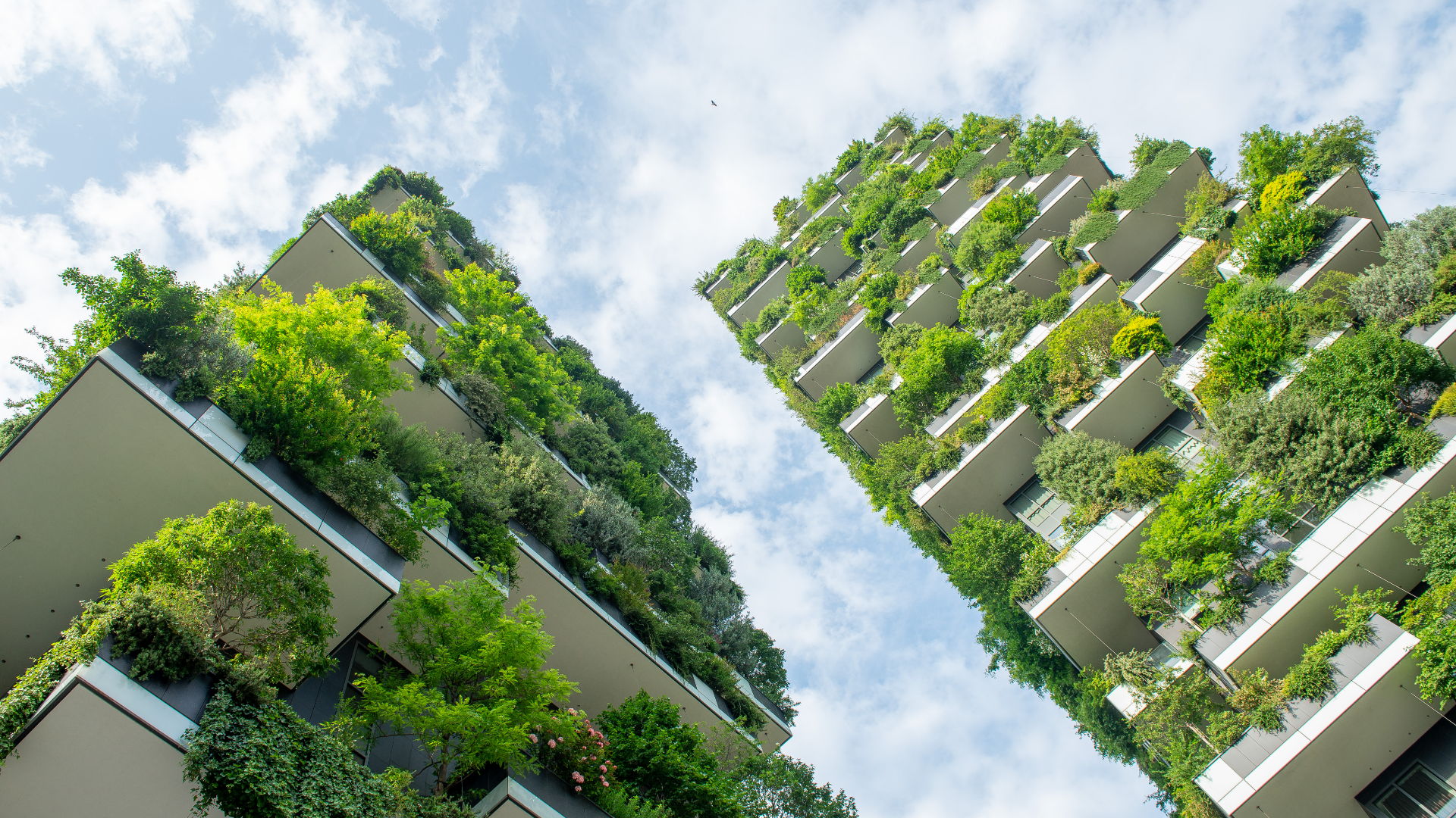 predio bosco verticale